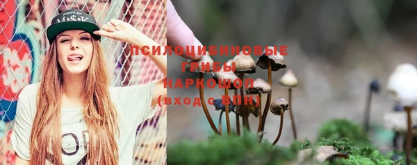 гидропоника Карпинск