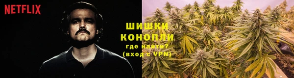 гидропоника Карпинск