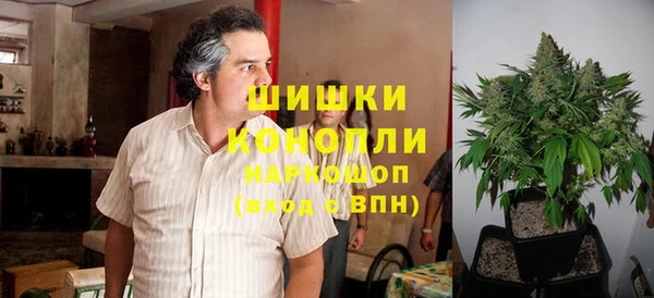гидропоника Карпинск