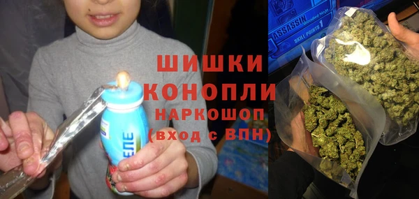 гидропоника Карпинск
