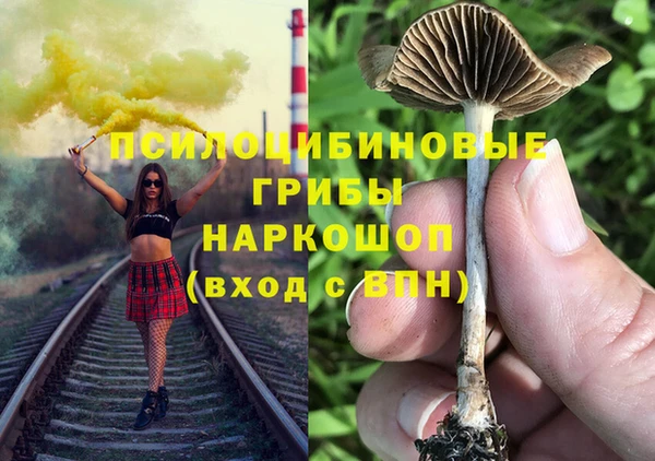 гидропоника Карпинск