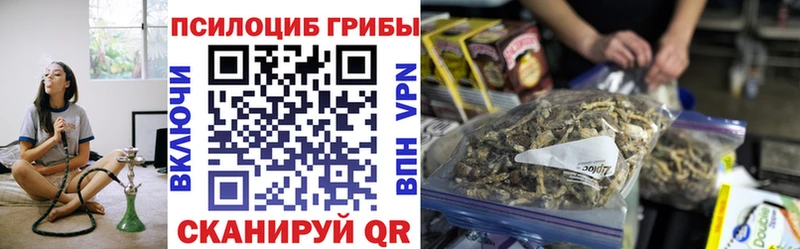 Купить где  Артём  Псилоцибиновые грибы Cubensis 