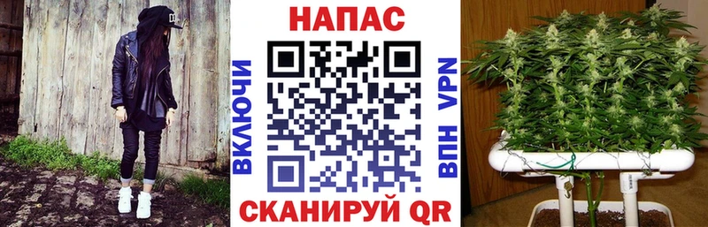 Купить где  Артём  Каннабис VHQ 